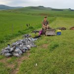 Young lad sitting on a box with pigeons around him.