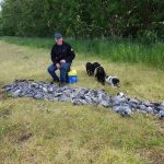 Man sitting surrounded by pigeons and a dog