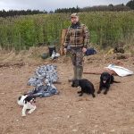 Man with four dogs which are laid on the floor surrounded by pigeons.